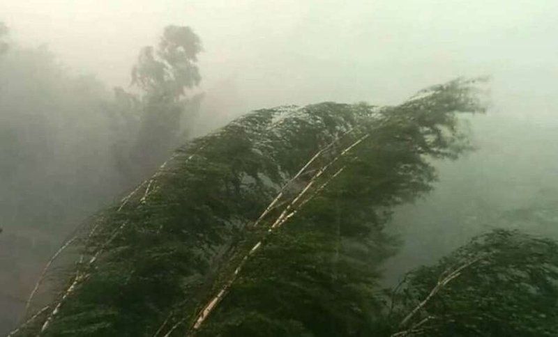 ����������� �������� �� ����������