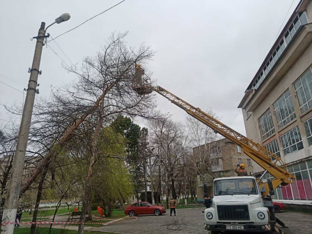 ������ ������. ������� ���������� � ���������� ������ ������� ���� �� ���� ������������ ������, ������� ���������