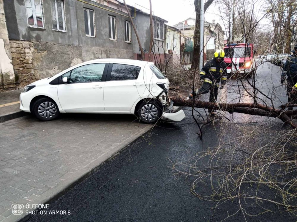 ��� - � ��������. ������� �� ���� � ��� ������� ���� ��� ���������