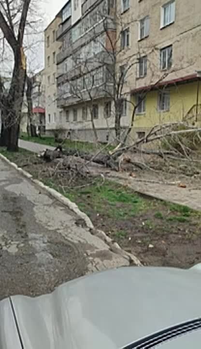 ���������� ������� ����� � ��������