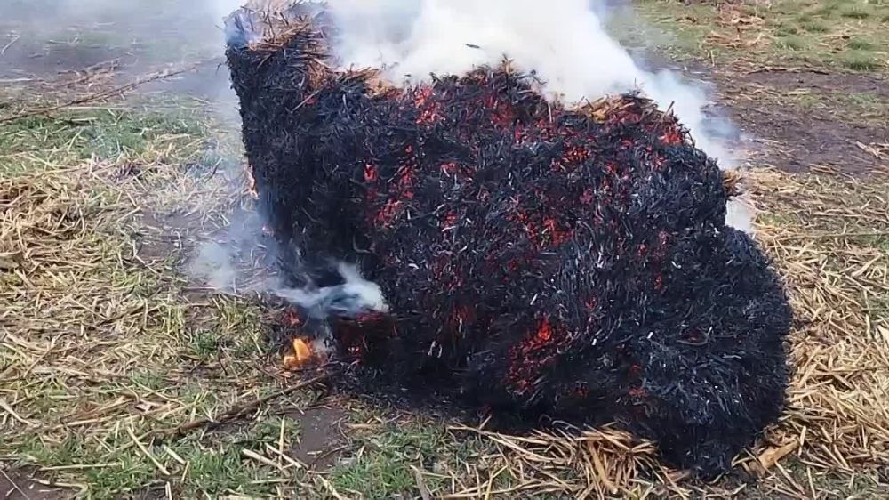 ������� ���� ����, ����� ������������� �� �������� ��� ���������