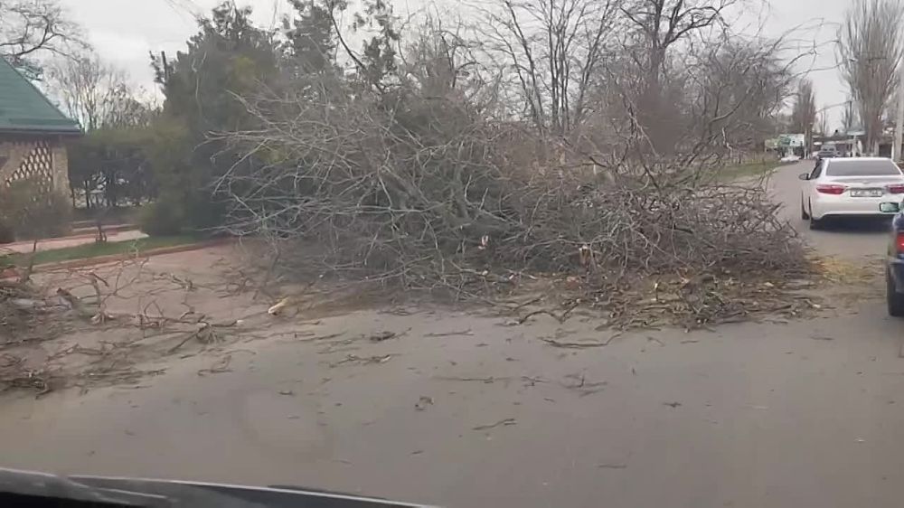 ����� ����� ������� ������ ������������ ������ � ����� ���������