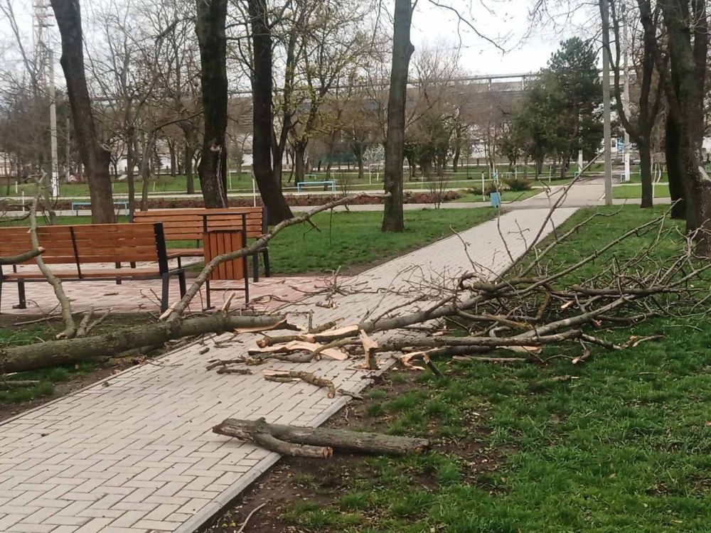 � ����� �������� ������ �����������, ����� ����� ������ ������� ��������