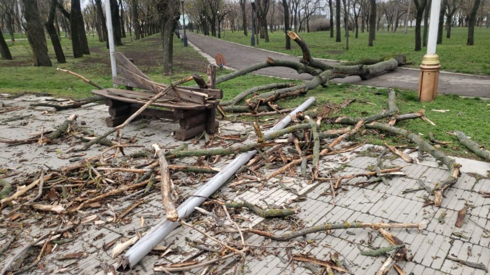 ������ ��������� ��������� �� �������� � ����� ������