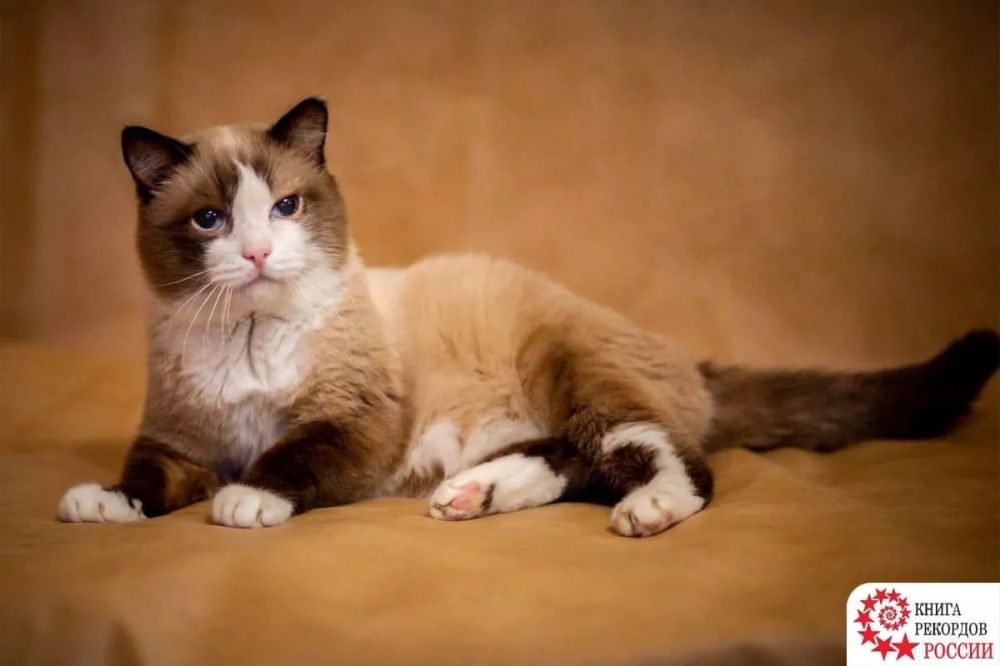 ���� ����� ������ ��� ������ �� ������ �����