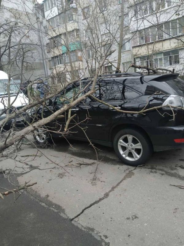 ������ ����� �� ������ �� ����� ������ � ���������