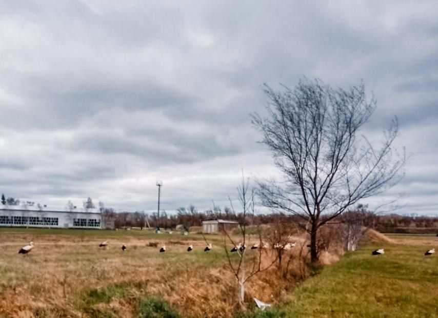 ��� �������� � ������������ ����� ��������� ��������� ���������