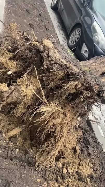 ����������� �������� � �������