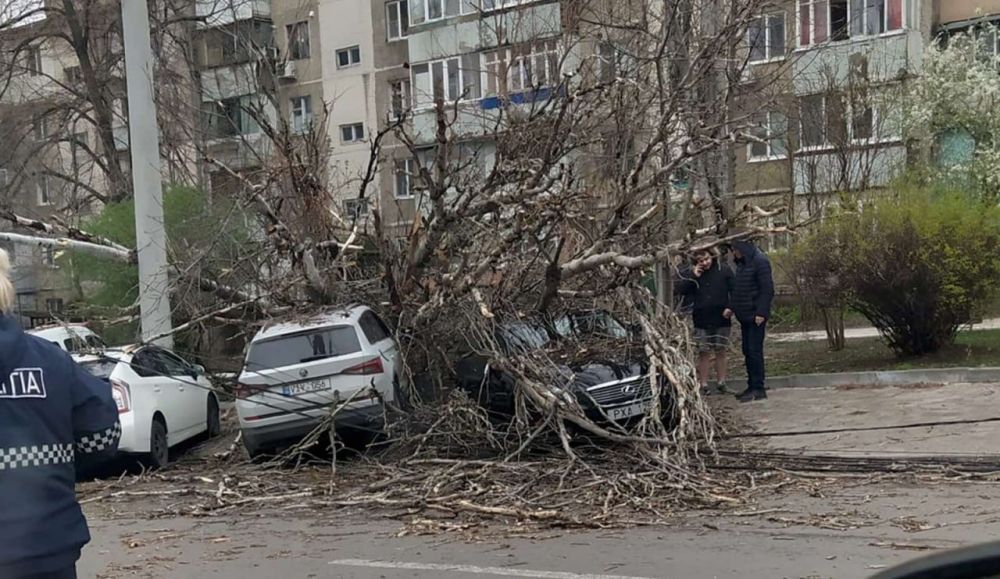 ������� ����� � �������� ���������� ������ �������