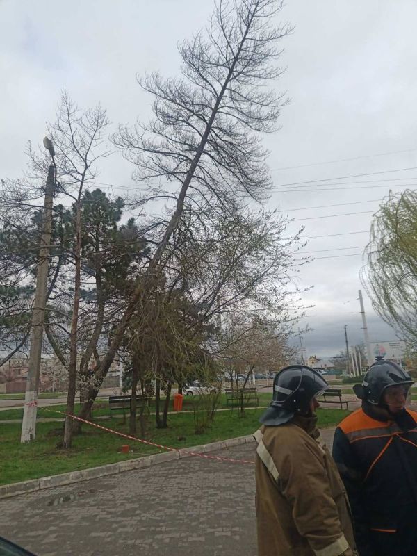 � �������� ����� ����� �� ����� ��������������