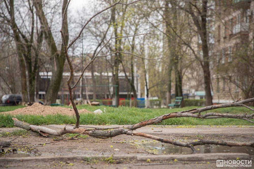 ��-�� �������� ����� �� ������ ��������� ������ ����� �����