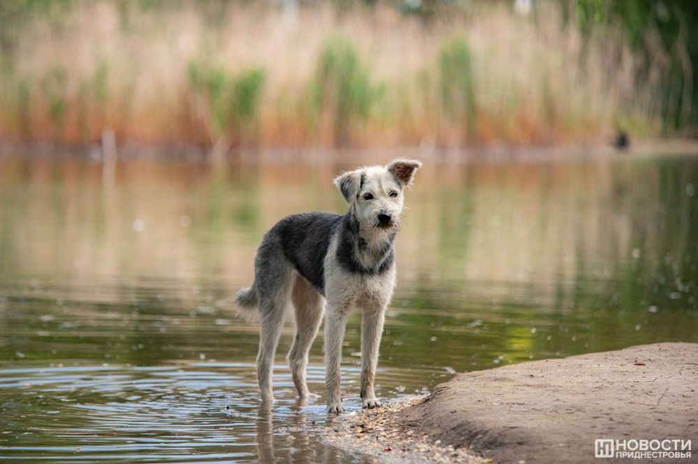 ����� ��� ���������� ��������� ����� ����� ��������� � �������������