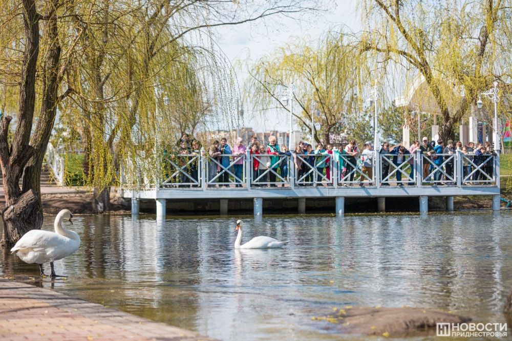 ����������� � ������� ��������� � ������������� ��� ����� � �������� ���������� � �������������� �����