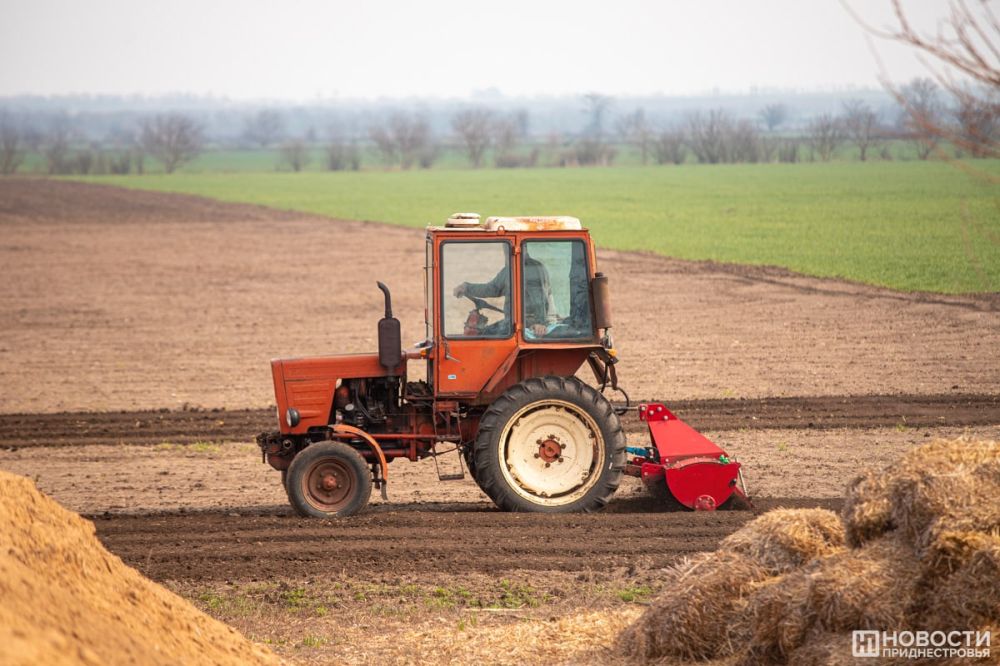 8,9 ��� ���� - ������� ����������� ��������� �� �������� ������������ �������������� � ��������� ��������� � 2022 ����