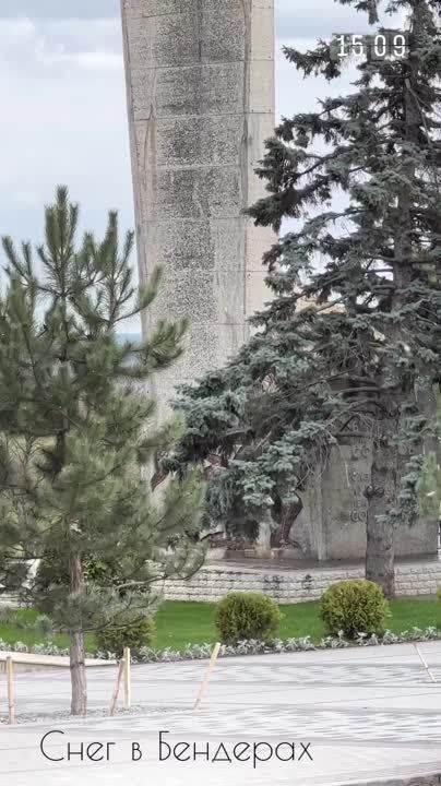 ��������: ���� ����� ������ � �������� � � ���������