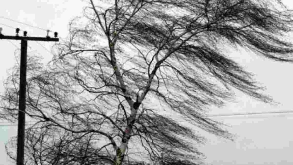 ����������� ��������. 28 ����� � ���������� �������� ����� �������� ���� ���������� ��������� ���� � ���� �����������...