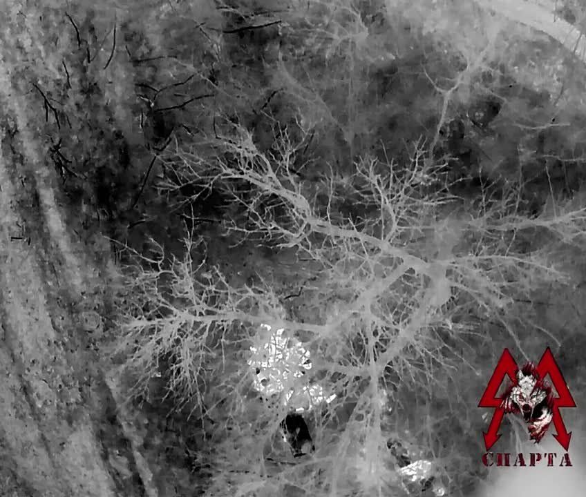 ����� ���������� ������������ � ������������ ������� �������� ���� �� ���������� ������