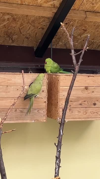 ������� ��� ��������� � �������