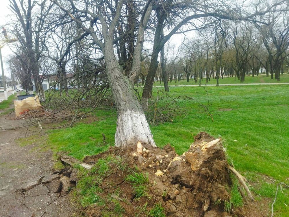 ����� ��-�� �������� ����� � ����� ������ � ��������� ������� ������ � ������