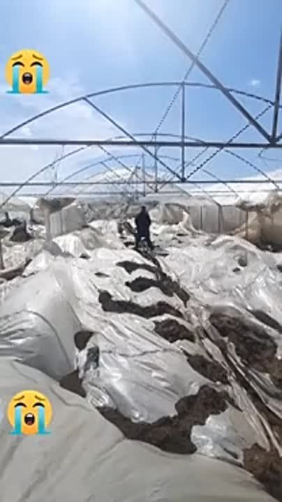 Ƹ����� ����� �� ������. ����� ��������� �������� �������. ��� ��������� ������ �� ������ �������, ��� ����� ������ ��������, ������� ������ ���� ���� �� ����� �� ����� � �������. ����� � �� ���� �����. ��������� ����� ����� - 5