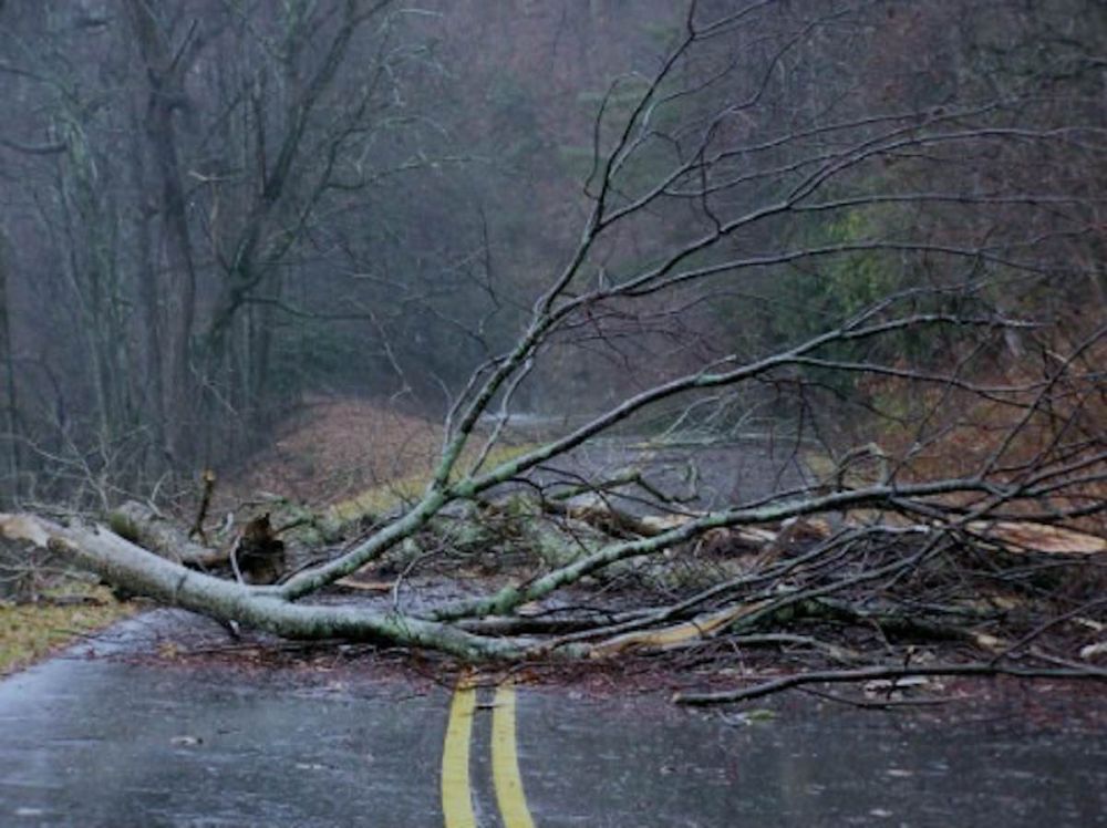 ��-�� �������� � ���������� �� ����� ���������� ����� 50 ���