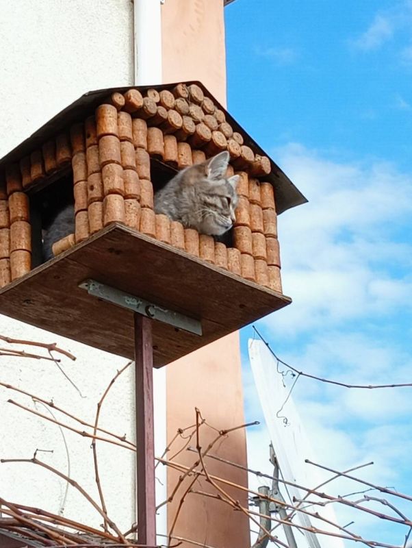 ��� ��������� � ����������� � ��������