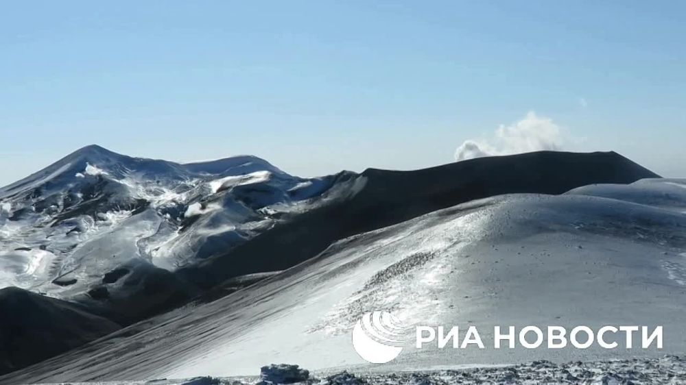 ������-�������� �������� ������ � ������� �����