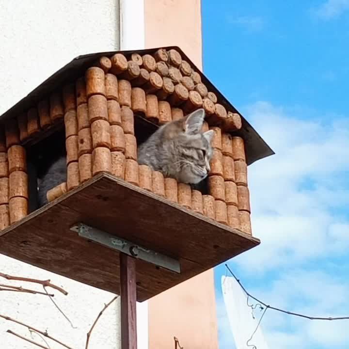 � ������������� ���������� ��� ������ ���� �� �����