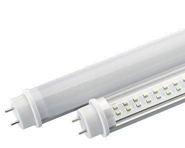 ������ ������� ���� ���������