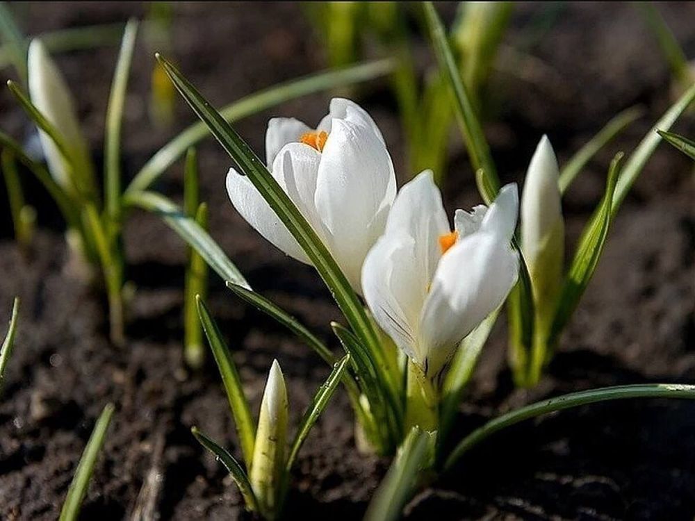 30 ����� � ������ � �������� �������, ����� � �����, � ���� �������� ���� �������� �� �����, � ������� �������� ������� �� ������