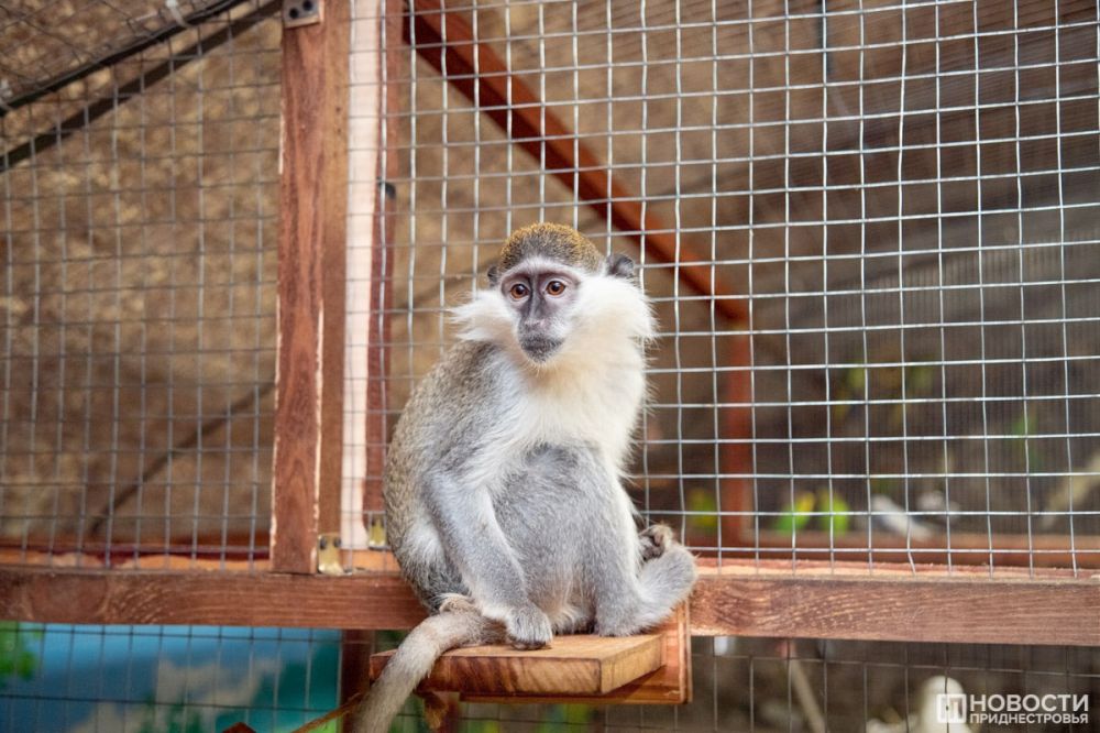 �������� ����� ���, ���� � ���, ����������� �������� �����, ����� ������� ���, ���������� �����-��������� ������� ������, � �������� ������������ ������ ���� - ����� ������� 50 �������� ������� ���������� � ��������� ���������� �������� �����������