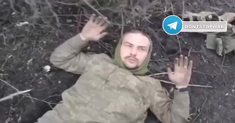 ����������� �������� �����