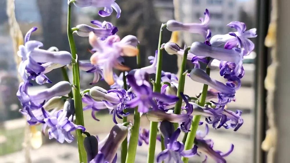 ����� ��� � ��������. ������ �� ������ ��������������� �������, �� � ������ ������