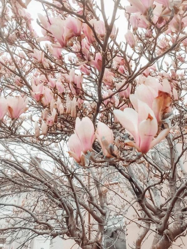 ������ ������ �������, �� ����� ��������� ������ ���� ����� 15 �����