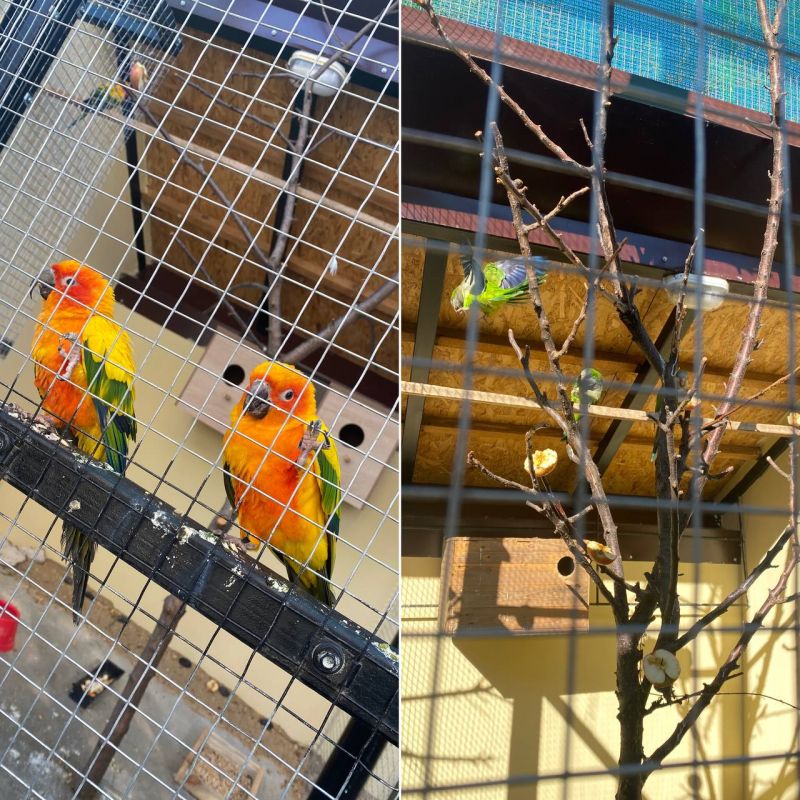 ����������� ��������. ����������� � ��������� ����������� �������. ����� �������