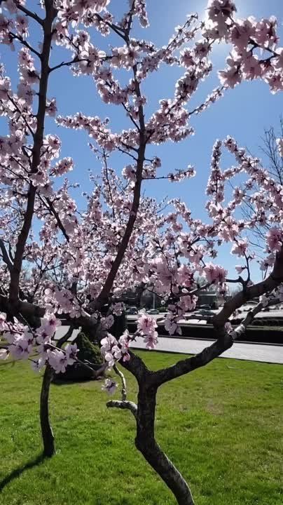 ���� ����� ������� ����� �� ������� ����� ������� ��������� ���� �������