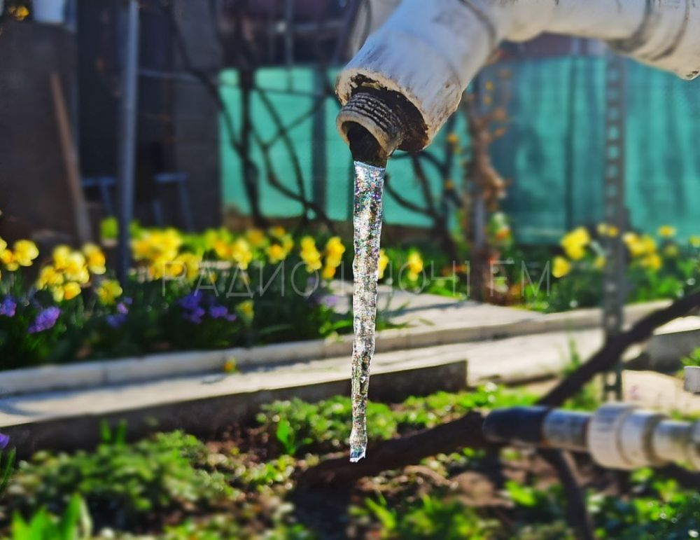 � ���������� �����.