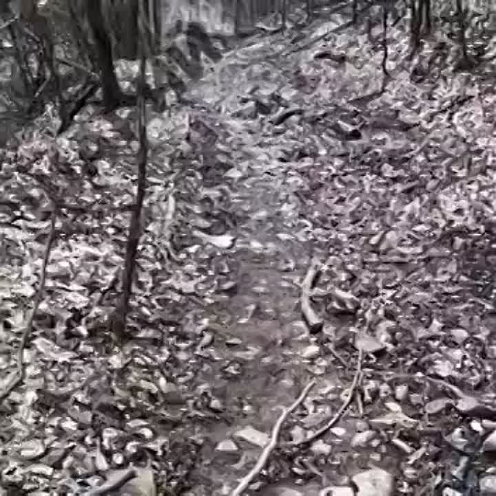 �������� ������� ��������� �� ������� � ������� ����� ���. ���������� ��� ����� ����� � �������� �� ����� ���� ������