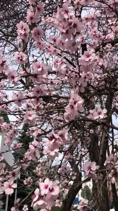 �� ��� ���� �����.... ������ ��������� ���������� �� +13��