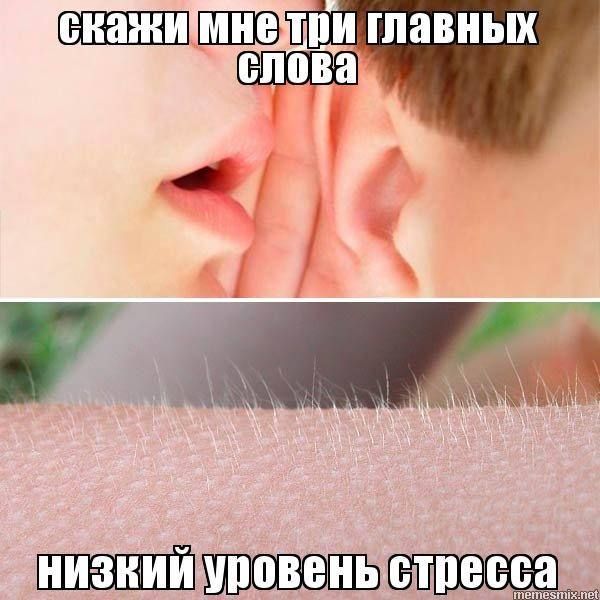 ������� ����������, ������� ����������� ������� ������� - ������� �� ������������ ������