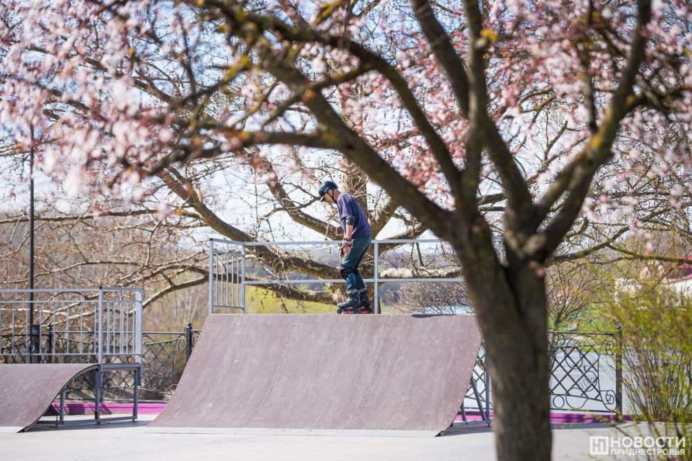 �������� ��������� ���������