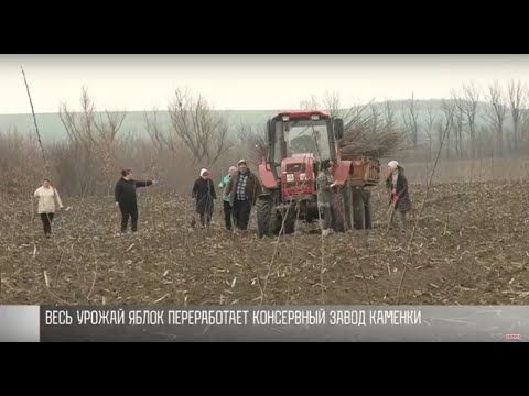 � ������� �������� ������� ��������� ��� �������� 600 ��������