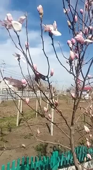 ���������� �� �������� �������� ����� ������ �� ���. �������� ����� � ������� ����� ���������� �� ��������