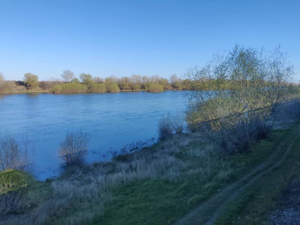 ���� ������ � �������� �����