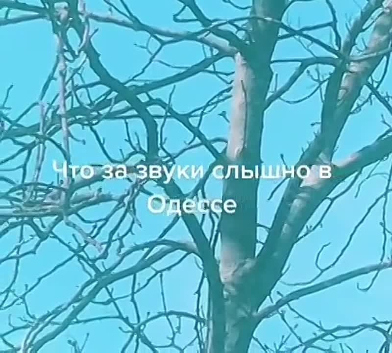 � ������ ������ �������� �� �������� ���, ������� ��� ������ � ������ ����� �����