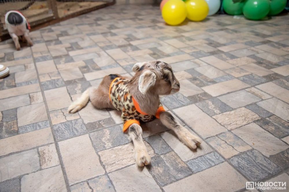 ������� ������ ��� � �����