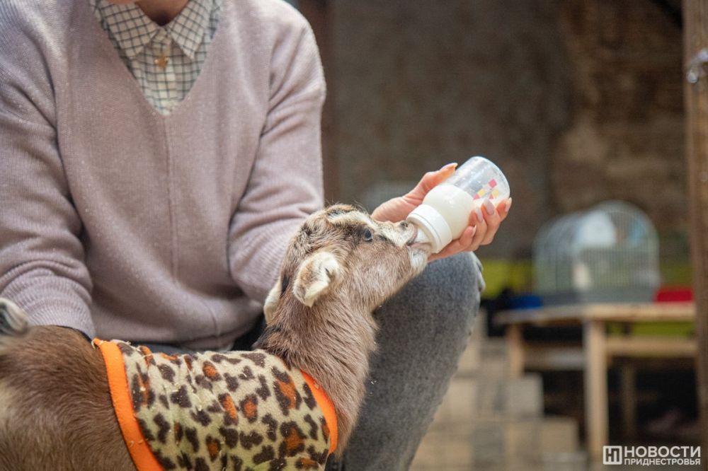 � ������� �������� ����� ���������� ������� �����������