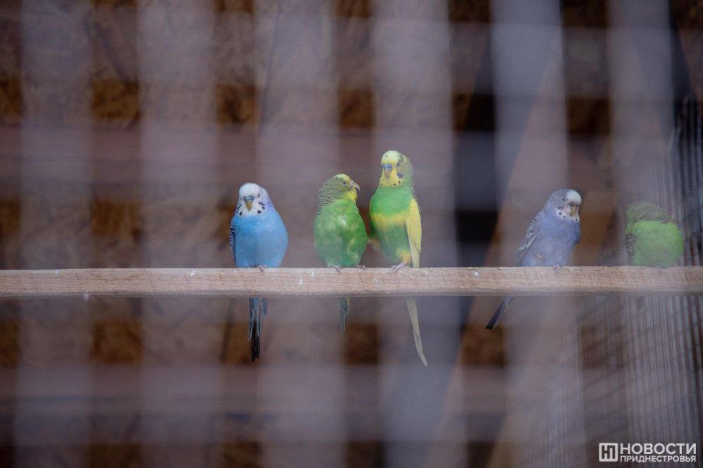 � �������������� ����� � 1 ������ ������� ��������