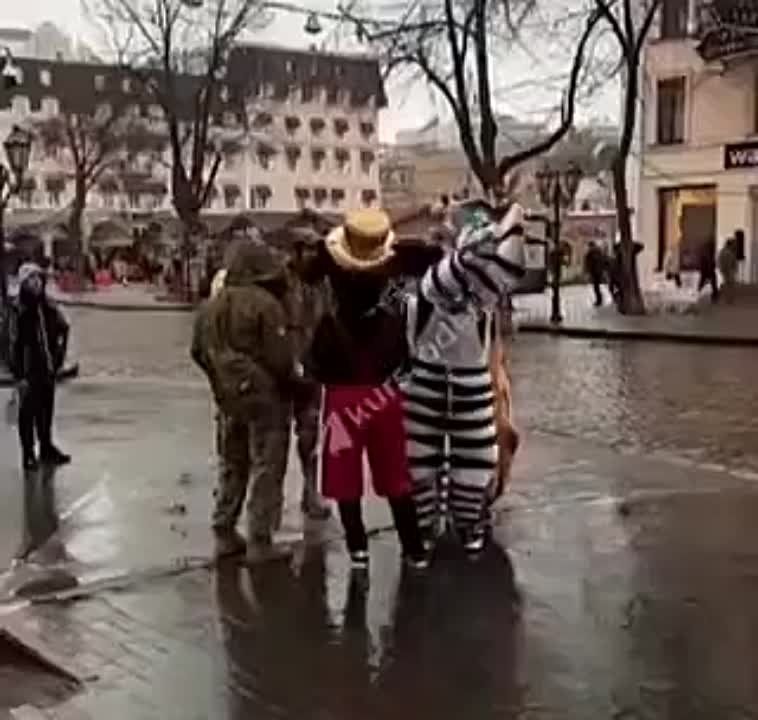 � ������ ���������� ���������� ������ ������ �������� �� ����� ����� ����� � �����, �� ��� ��������� �������� ����