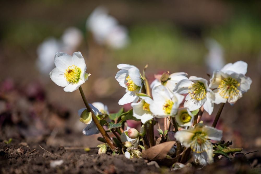 ����� � ��������������� �������